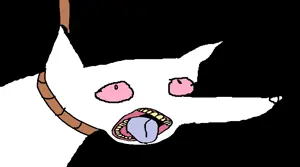 tnd.png