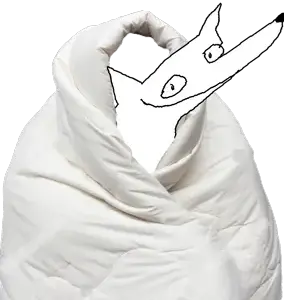 Blanket (1).png