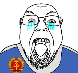 bernd, bloodshot eyes, communism, country, crying, east germany, flag, football, germany, glasses