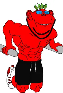 broot hitting it - Copy.png