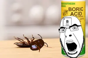ED707E21-11F2-4A2B-92B7-7441BB59D257.jpeg