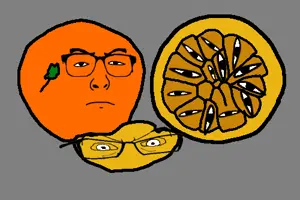 Oranges_-_whole-halved-segment.png