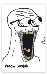 wojak, soyak, screenshot, soyjak, white background, wojakland