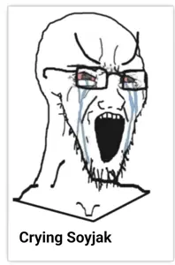 wojak, soyak, screenshot, soyjak, white background, wojakland