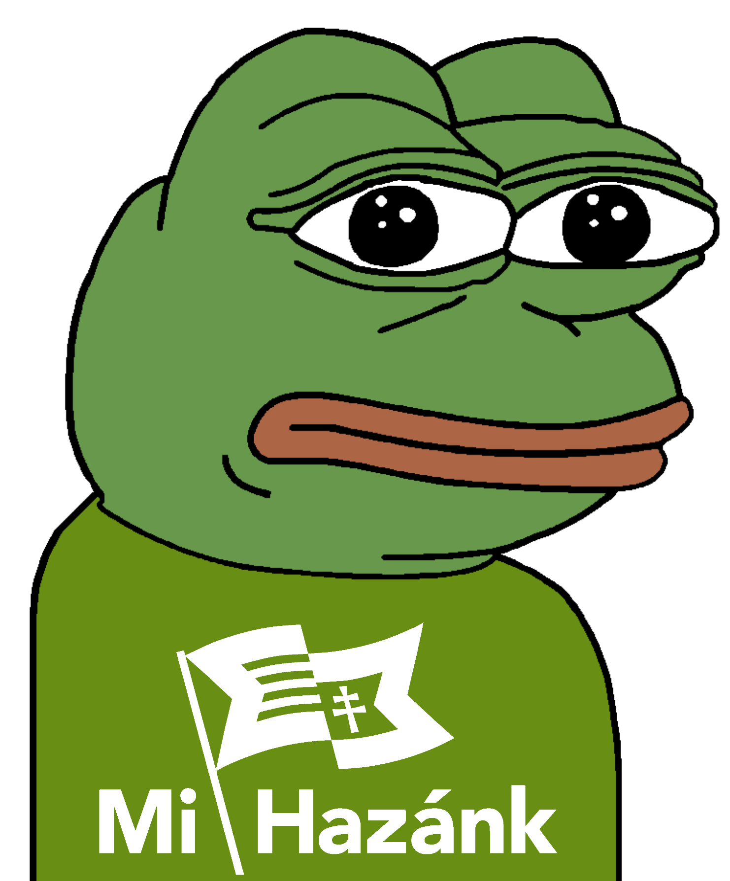 pepe, amphibian, animal, closed mouth, clothes, europe, frog, green skin, hungary, lips