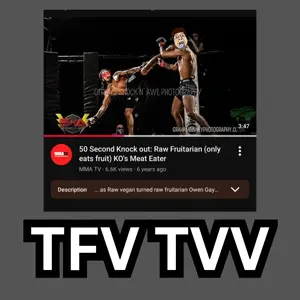 TFV TVV_20260414_170017_0000.png