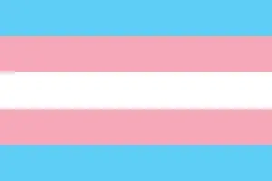 transgender-pride-flag-trans-pride-flag-vector.jpg