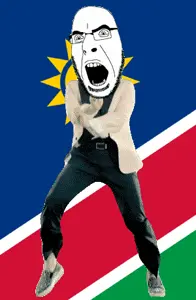 cobson, angry, animated, country, dance, flag, full body, gangnam style, glasses, namibia