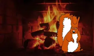 copy_51292808-B678-4DF4-82F0-3C10DA8DDA0F.mov