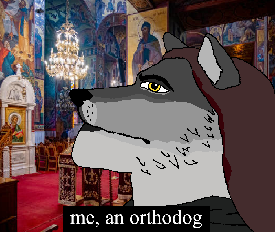 sylvia, yes chad, animal, brown hair, bushy eyebrows, christbro, christianity, church, dog, dog ear
