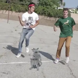 1774066880525331.webm