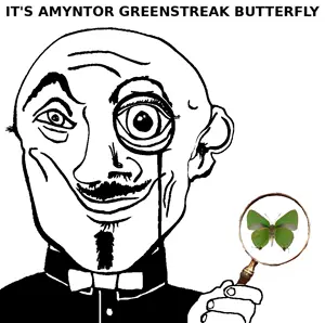 amyntor_greenstreak_butterfly.png