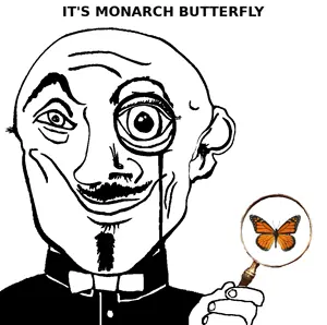 monarch_butterfly.png