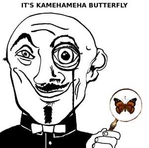 kamehameha_butterfly.png