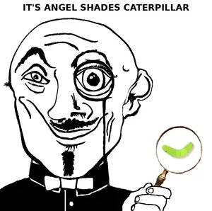 angel_shades_caterpillar.png