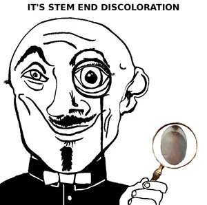 stem_end_discoloration.png