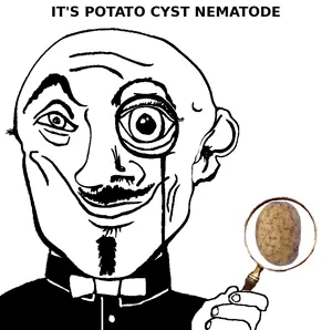 potato_cyst_nematode.png