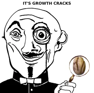 growth_cracks.png