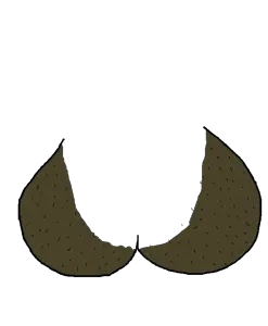 htsm testicles layer 2.png