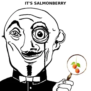 salmonberry.png