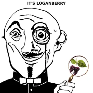 loganberry.png