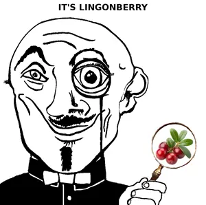 lingonberry.png