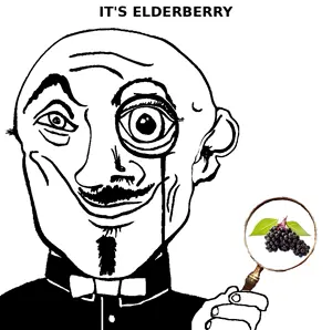 elderberry.png