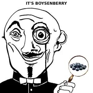 boysenberry.png