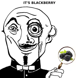 blackberry.png