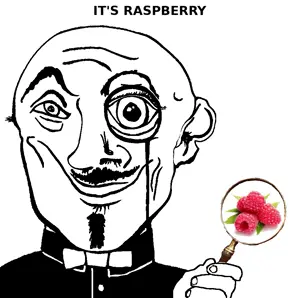 raspberry.png
