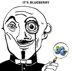 blueberry.png