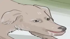 i really love reaction gifs.mp4