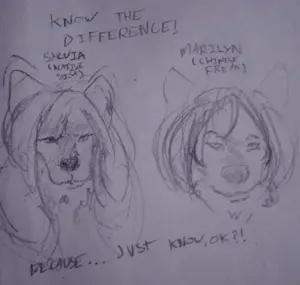 IMG_20260417_224822066~2 (1).jpg