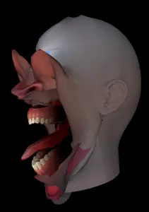 Screenshot 2026-04-18 005125.png