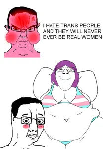 bernd, chudjak, gapejak, 59 percent, bridget, chudjak front, female gapejak, femjak, pink rage, anger mark