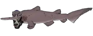 Goblin_shark.png