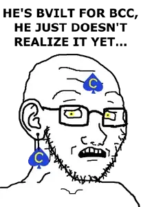 bvilt for bisisi toss.png