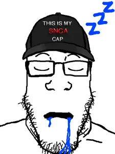 plier this is my snca hat.png