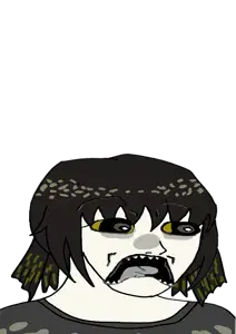 plecochan doctos.png