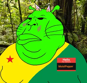 janny read this filename if you fap to men.png