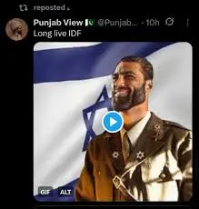 gigachad, flag, india, israel, pajeet, text, xitter