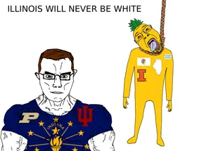 illinois will never be white.png