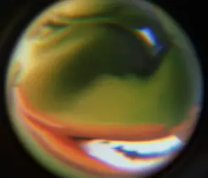 257 - ai_generated circle laughing pepelaugh sound variant;pepe video.mp4