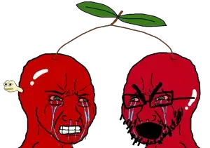 cherrysoys.png