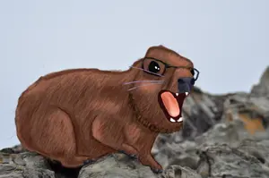awawajakonrocks.png