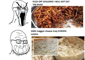soyak, calarts, animal, bloodshot eyes, bug, cheese, cricket, crying, distorted, food