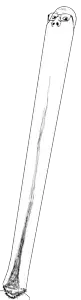 the longest scholar.png