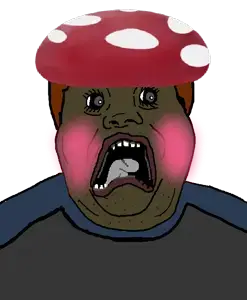 152565 - soybooru.com - alicia blush brown_hair brown_skin clothes double_chin eyelashes hat hunky_twink_sex_machine lips looking_at_you mushroom obese shroomcuck soyjak_forum wrinkles.png