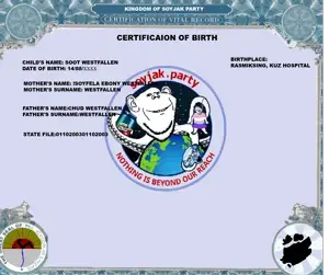 birth certific.png