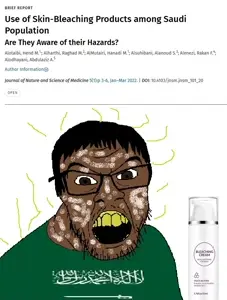 The Saracens Aren't Arabs.jpg